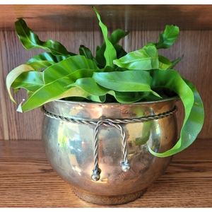 Vintage Brass Planter Pot w/ rope design